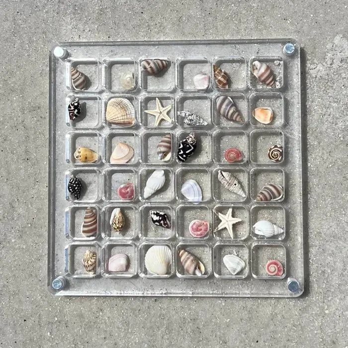 Seashell Display Case
