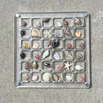 Seashell Display Case