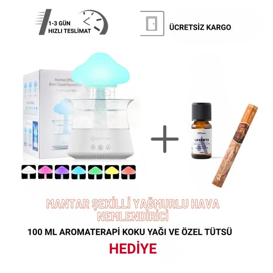 Mantar Şekilli Yağmurlu Hava Nemlendirici Gifthane
